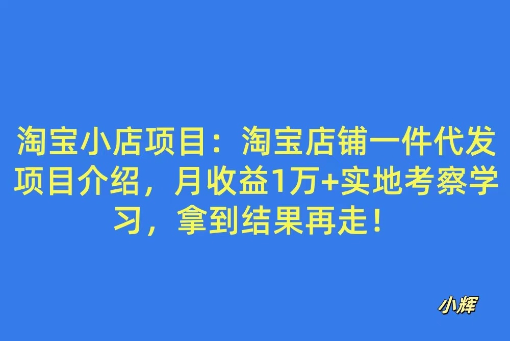 淘宝大健康项目：淘宝店铺一件代发项目介绍，月收益1万+-八一